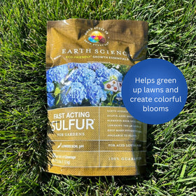 Earth Science sulfur granules boosting color on hydrangeas and azaleas in garden beds