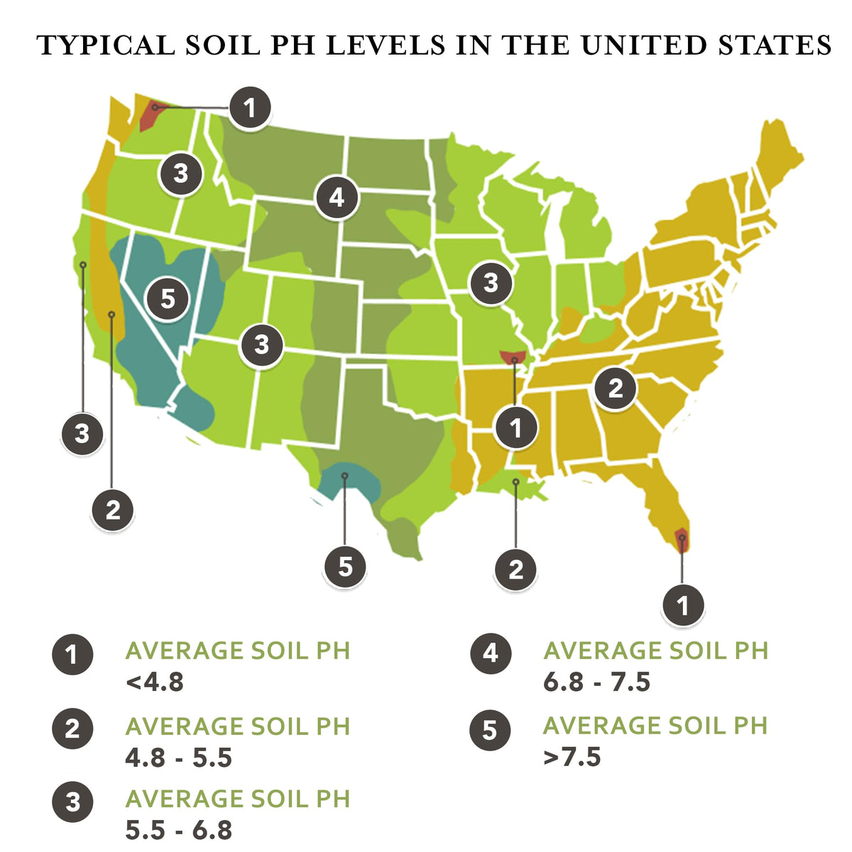 Earth Science sulfur granules on a lawn show improved color and healthier turf