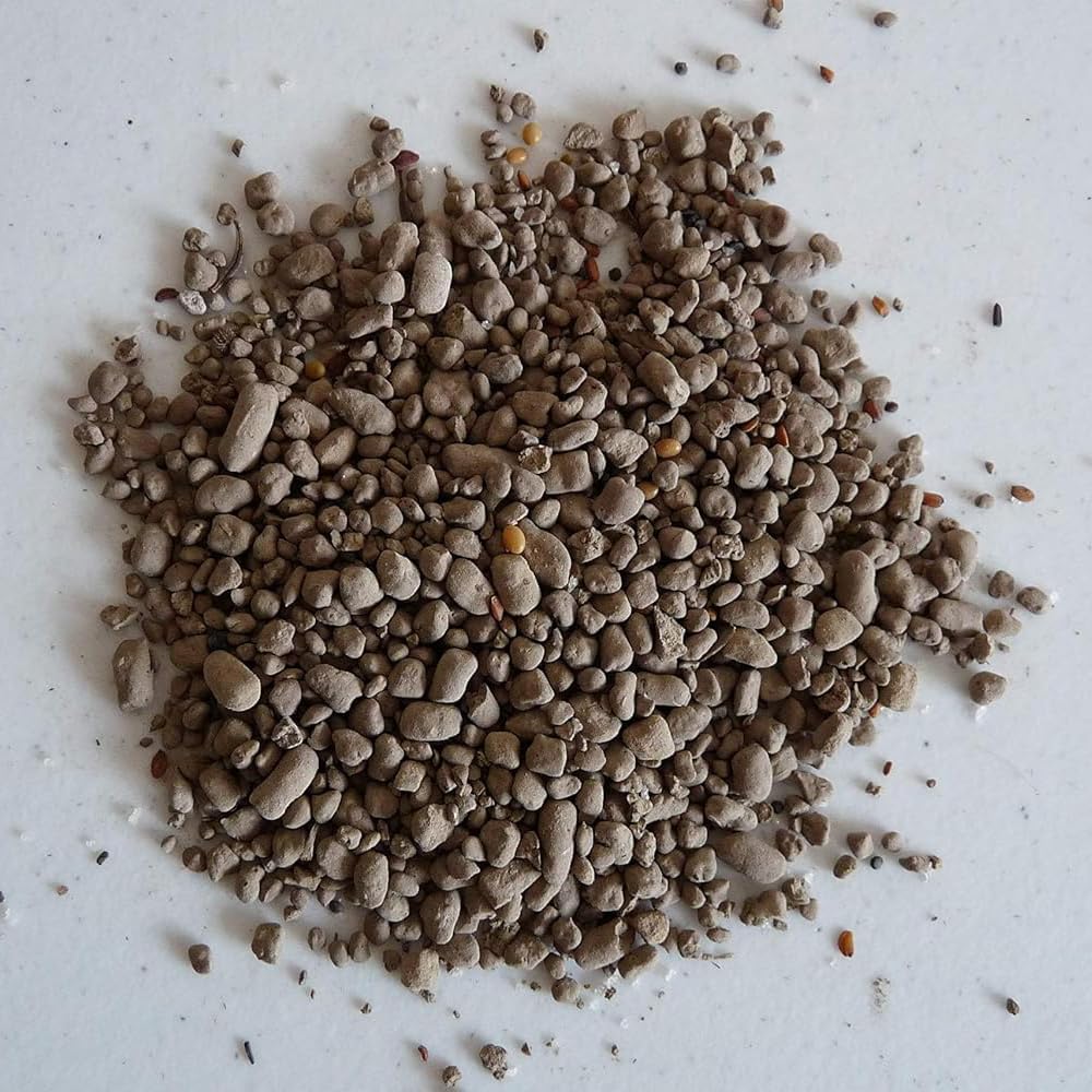 Earth Science vibrant shade garden ready-to-plant mix for quick seasonal color.