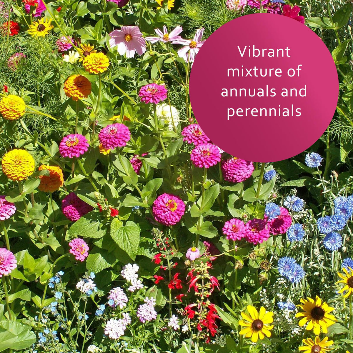 Earth Science Wildflower Mix soil conditioners enrich soil for healthy growth