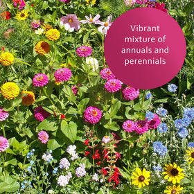 Earth Science Wildflower Mix soil conditioners enrich soil for healthy growth