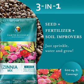 Drought-tolerant zinnia blossoms thriving in dry garden soil