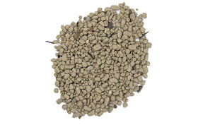 Non-GMO seeds safe for people and pets with Earth Science mix