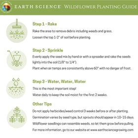Earth Science Zinnia Seeds in garden bed showcase drought-tolerant resilience and long bloom period.