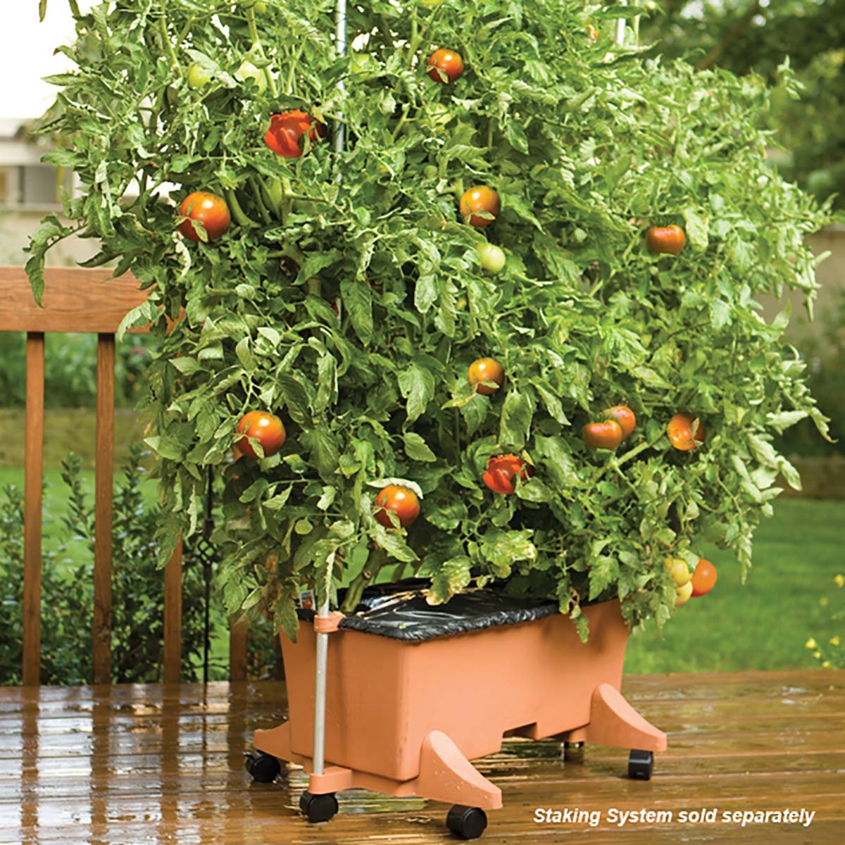 EarthBox Terra cotta kit shows a maintenance-free setup for efficient watering