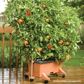 EarthBox Terra cotta kit shows a maintenance-free setup for efficient watering