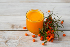 Earthcare Seeds Sea Buckthorn barrier hedge ready for privacy and visual appeal.