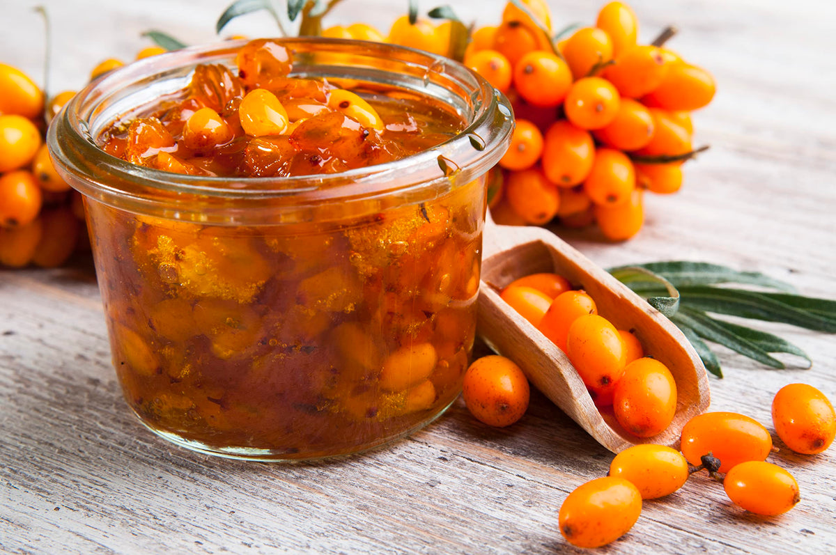 Earthcare Seeds Sea Buckthorn bright orange berries with a tangy orange passion fruit flavor.