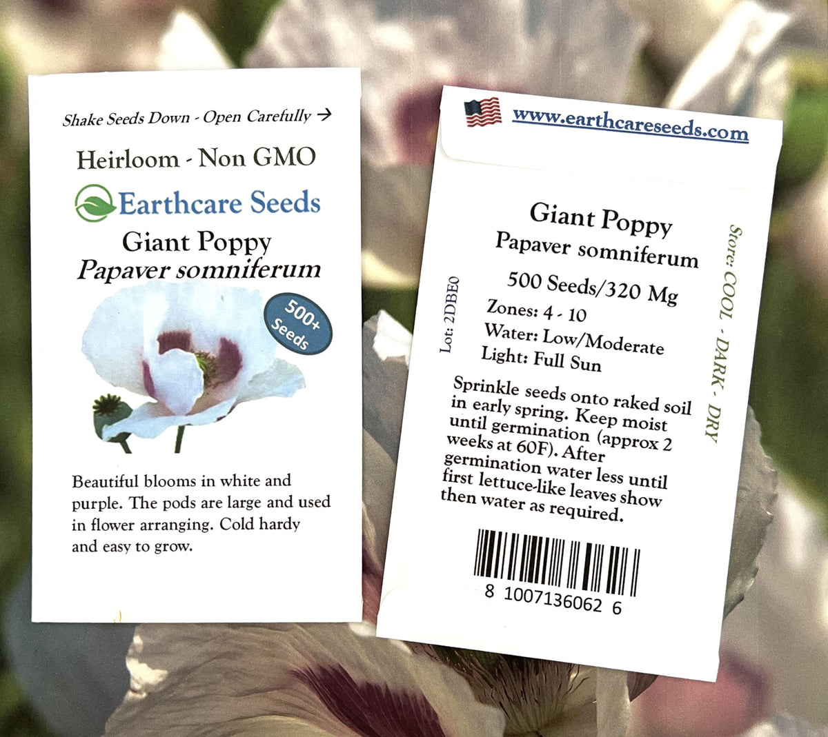Earthcare Seeds Giant Poppy bloom pink — soft, elegant color for borders.