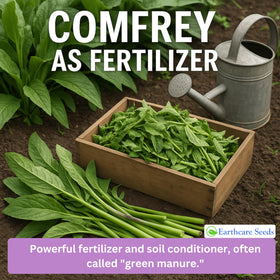 Open seed envelope showing instructions for Earthcare Seeds True Comfrey.