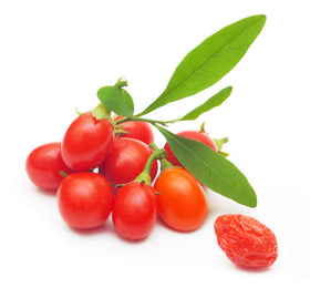 Earthcare Seeds Tibetan Goji Berry seed envelope with planting instructions for a hardy shrub