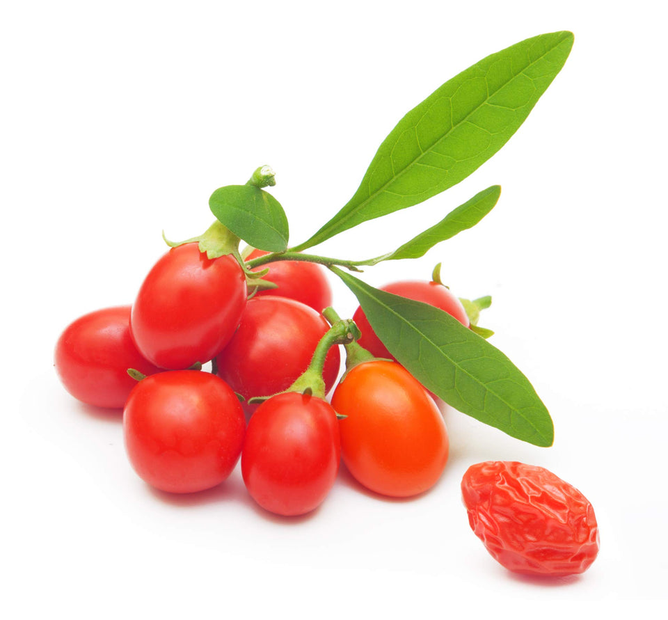 Earthcare Seeds Tibetan Goji Berry seed envelope with planting instructions for a hardy shrub