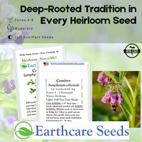 Earthcare Seeds True Comfrey plant thriving in a garden setting.