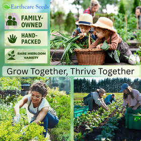 Zones 4–9 garden guide featuring Earthcare Seeds True Comfrey.