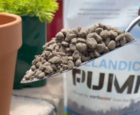 Earthcore Pure Icelandic Pumice grains ready for indoor potting mix.