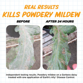 Earth’s Ally powdery mildew battle across a lush garden canopy