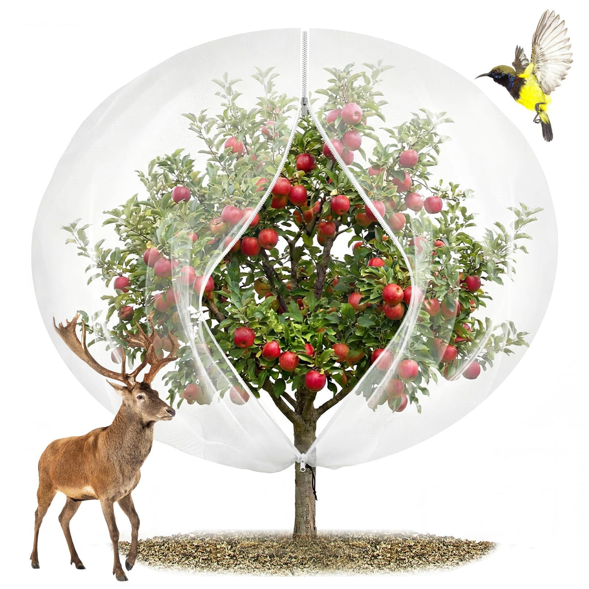 EaseThrift 12x12ft fruit tree netting with zipper protects harvest from birds and squirrels.