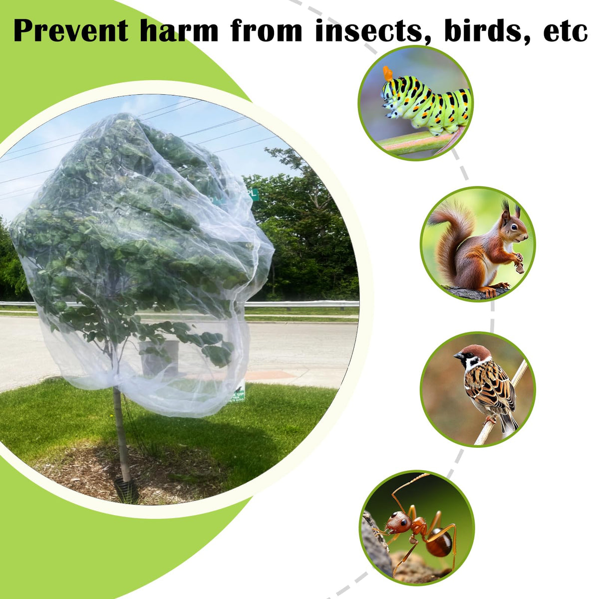 EaseThrift protects fruit from birds, deer, rabbits, and insects for a healthier harvest.