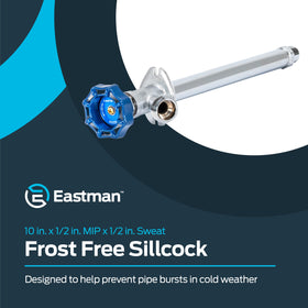 Eastman brass body close-up highlighting durable exterior valve construction