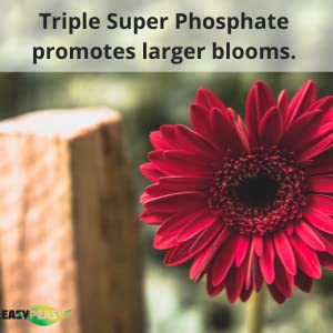 Easy Peasy 0-46-0 granules poured into soil for steady nutrition