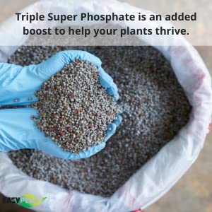 Easy Peasy 0-46-0 granular phosphate shown for lawns and trees