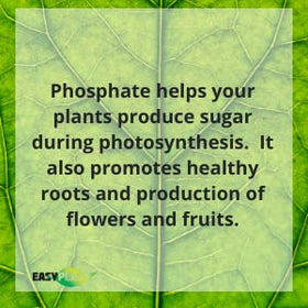 Easy Peasy phosphate granules ready for lawn application and growth