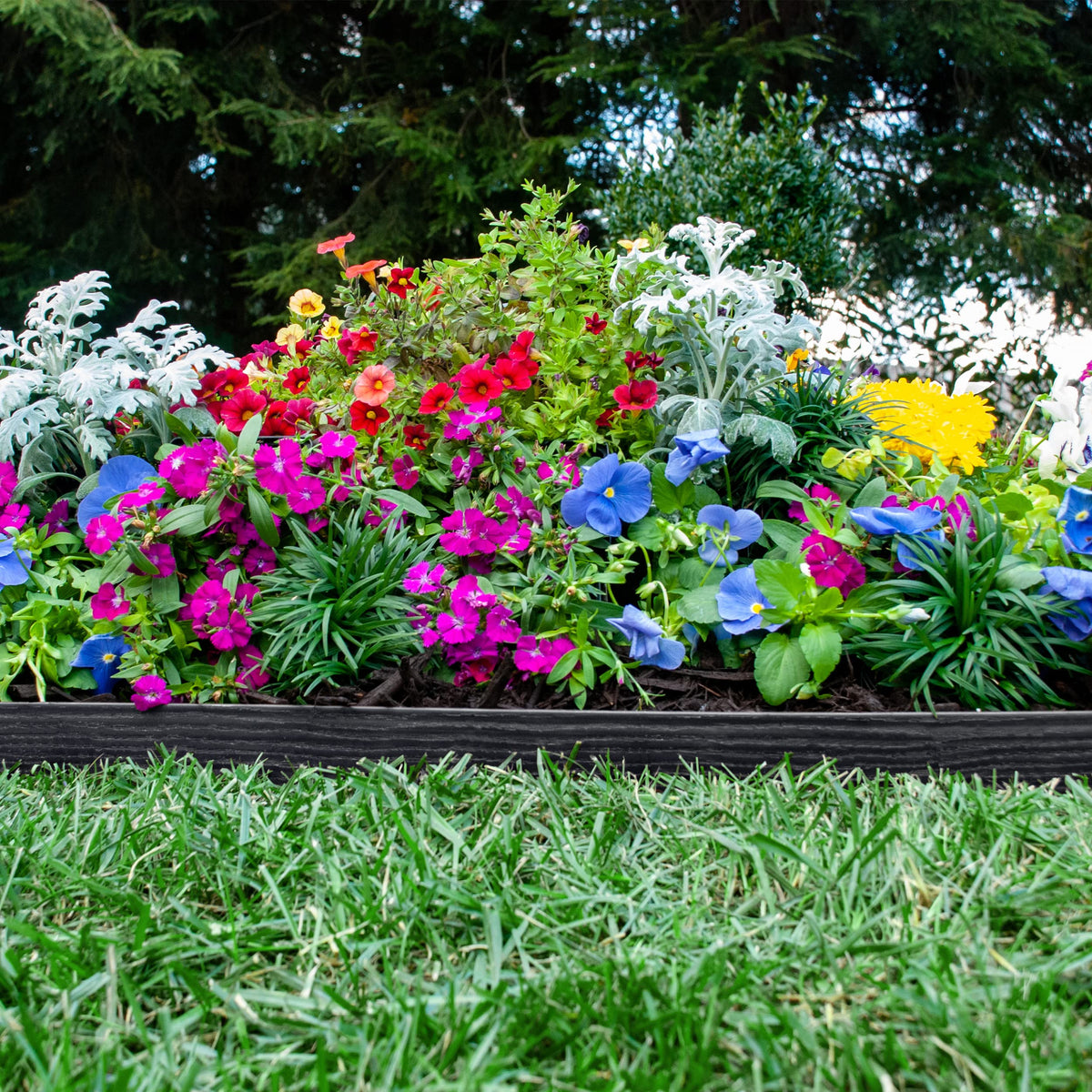 EasyFlex-border-ready edging defines garden-bed edges with low-maintenance performance