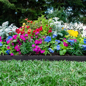 EasyFlex-border-ready edging defines garden-bed edges with low-maintenance performance