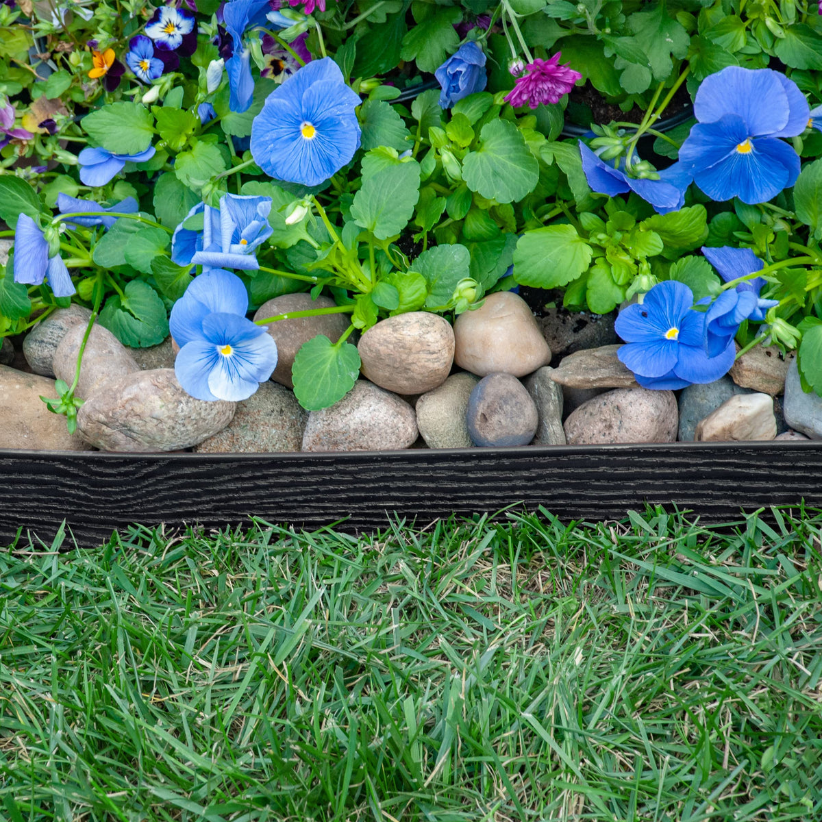 EasyFlex curved-edging allows smooth curves around trees and beds.