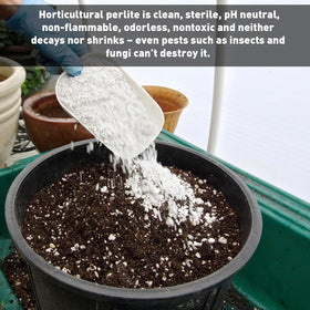 Eco-roofs and roof gardens benefit from EasyGo Perlite drainage and stability.