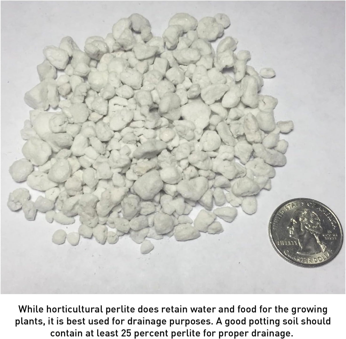 EasyGo Perlite used in hydroponics supports roots with better oxygen.