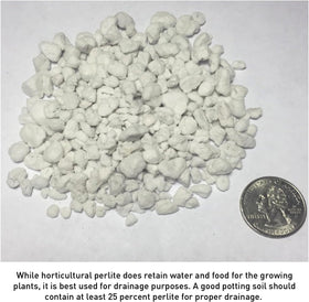 EasyGo Perlite used in hydroponics supports roots with better oxygen.