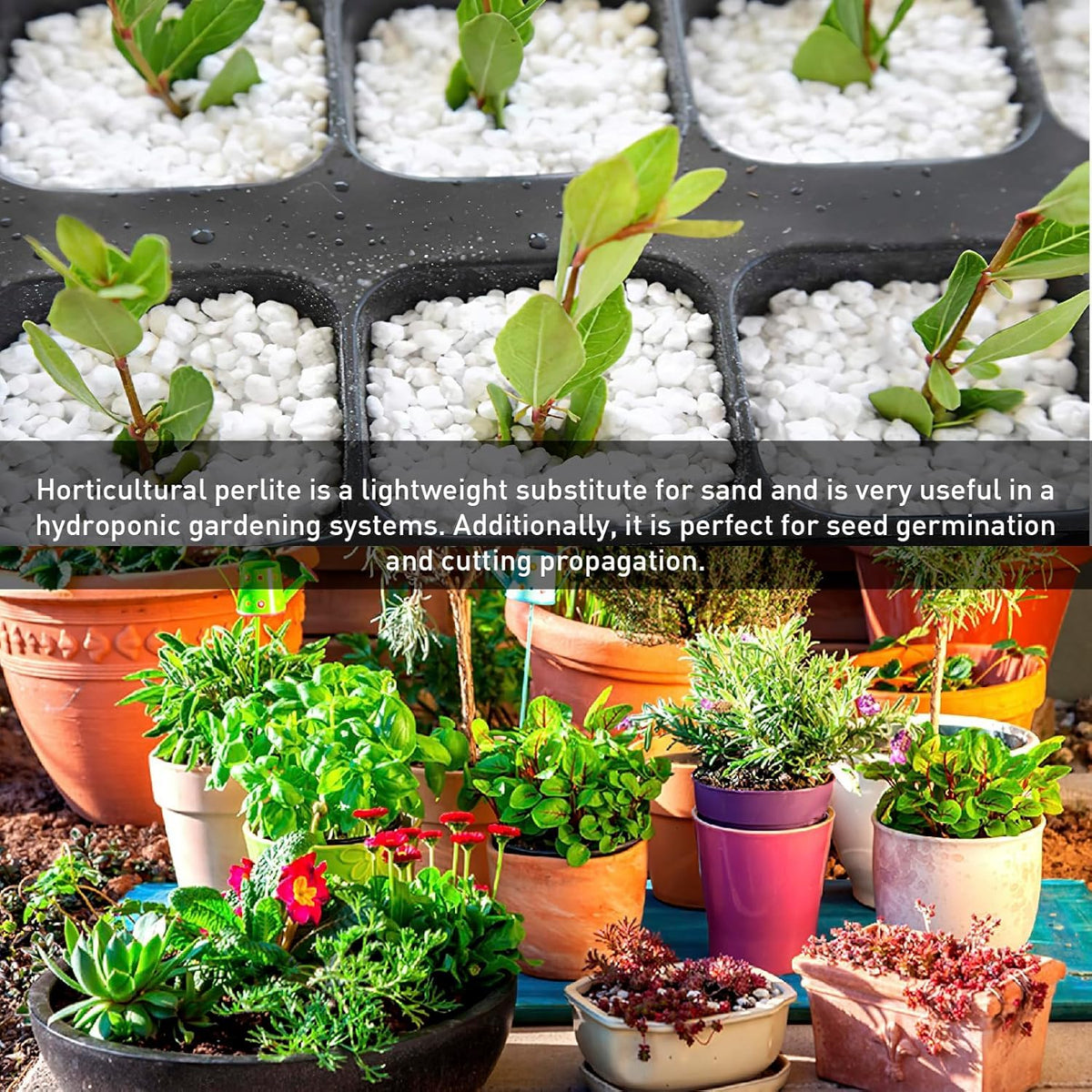 Nursery baskets use EasyGo Perlite to condition media for better growth.