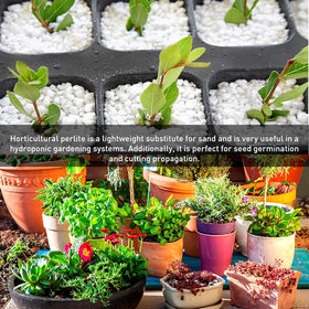 Nursery baskets use EasyGo Perlite to condition media for better growth.