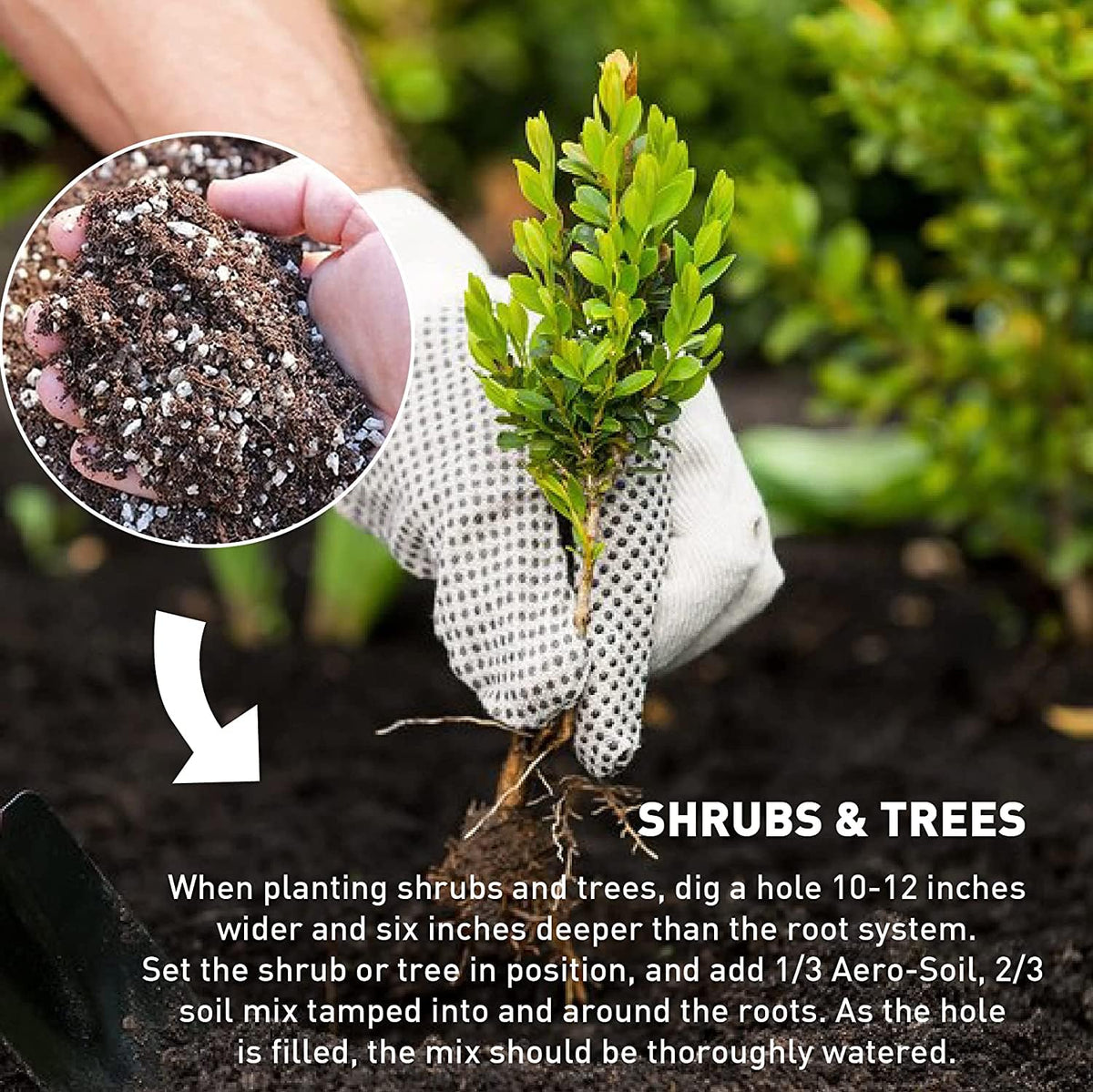 EASYGO shrubs and trees planting uses Aero-Soil mix for aeration and drainage