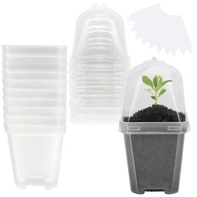 EBaokuup clear 3-inch pots with humidity dome support seedling moisture control.