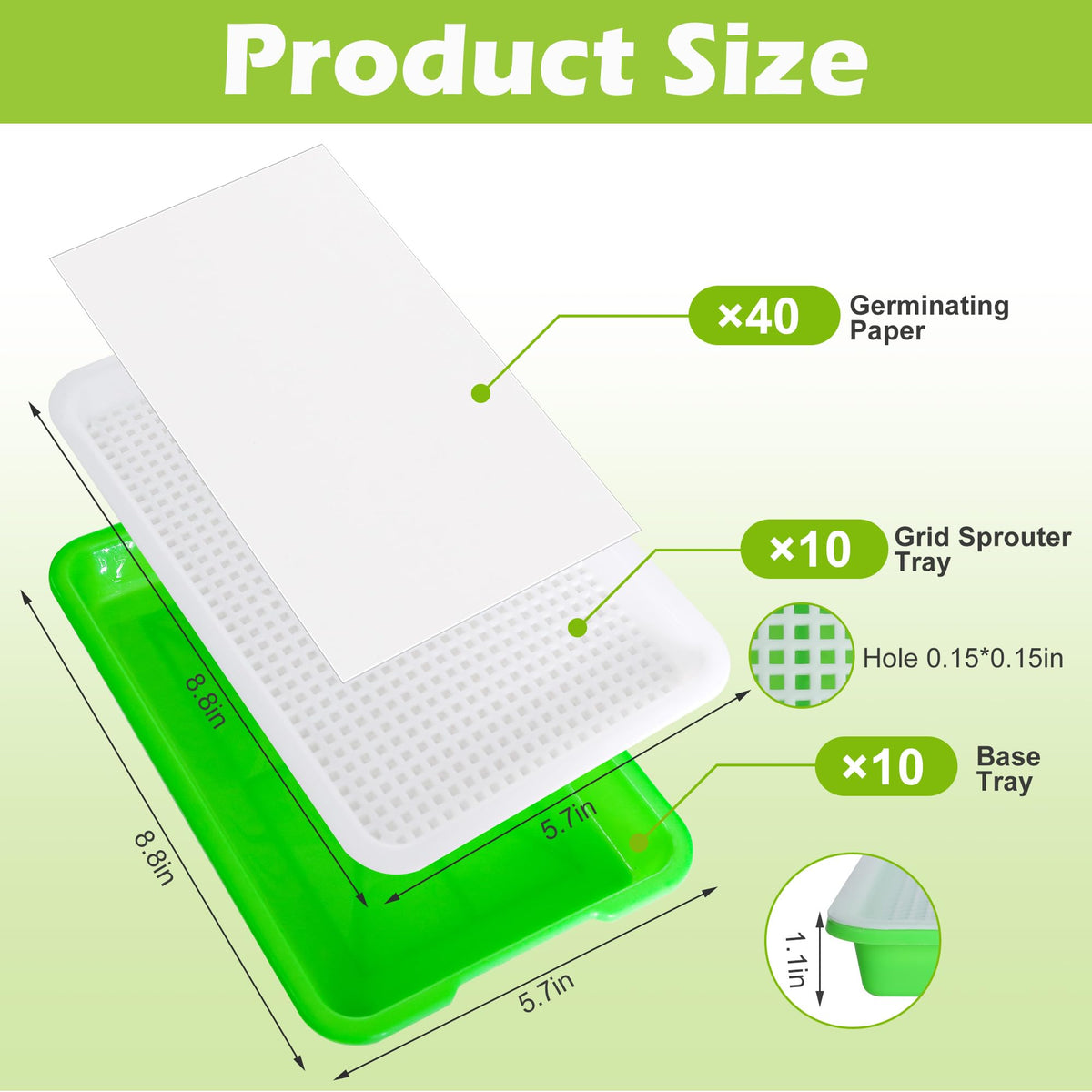 EBaokuup double-deck seed sprouter tray with bottom water-saving tray enhances airflow for faster sprouting