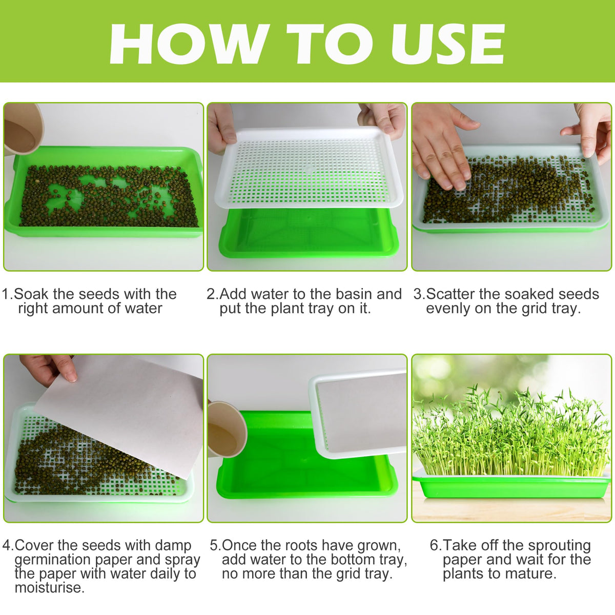 EBaokuup easy-sprouting-beginners kit supports seed germination for newcomers