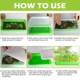 EBaokuup easy-sprouting-beginners kit supports seed germination for newcomers