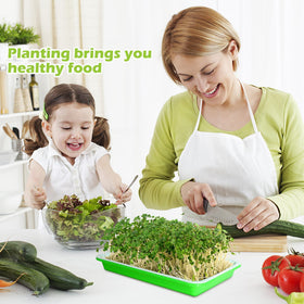 EBaokuup planting-paper kit complements soil-free sprouting routines