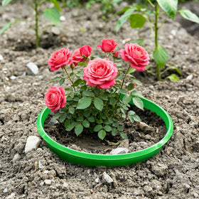EBaokuup 7-inch planting ring quick setup without tools in use