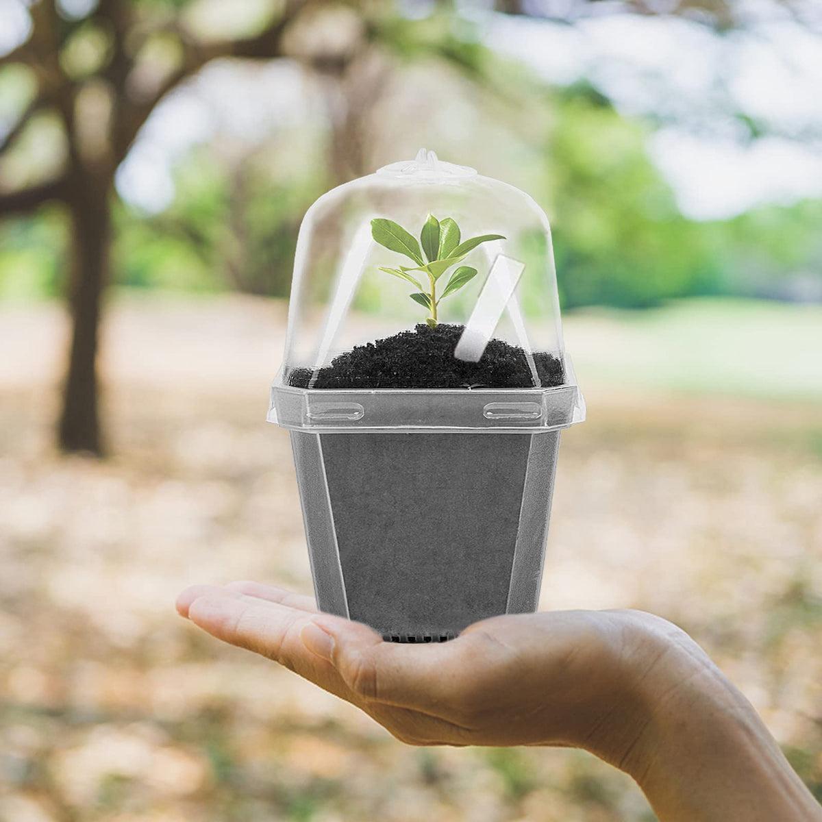 EBaokuup pots with labels included aid organized seed starting.