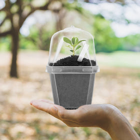 EBaokuup pots with labels included aid organized seed starting.
