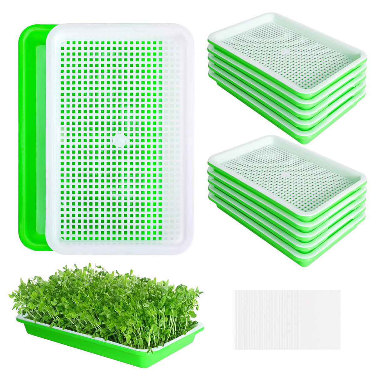 EBaokuup seed sprouter tray 10-pack for easy at-home germination of greens