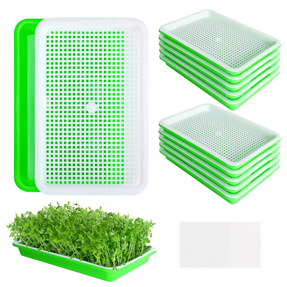 EBaokuup seed sprouter tray 10-pack for easy at-home germination of greens