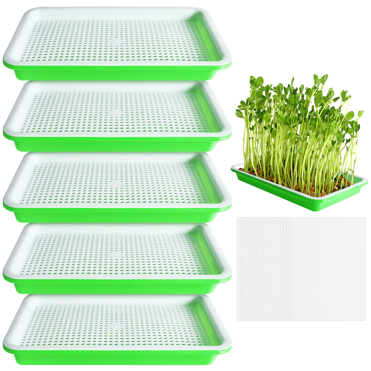 EBaokuup seed sprouter tray set for soil-free germination at home.