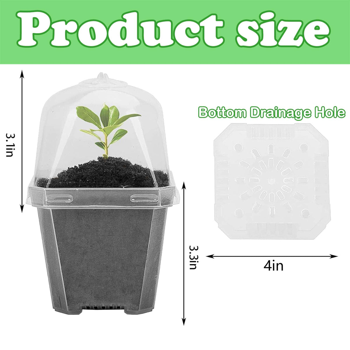 EBaokuup seed starting pots with drainage holes for healthy seedlings