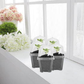 EBaokuup seedling starter kit ready for indoor gardening.