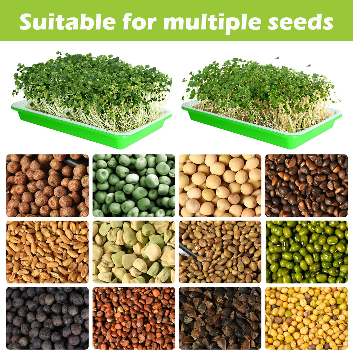 EBaokuup wide-seed-application tray suits soy, buckwheat, wheatgrass and more