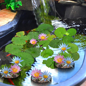 EBaokuup black round pot blends with pond edges while staying breathable